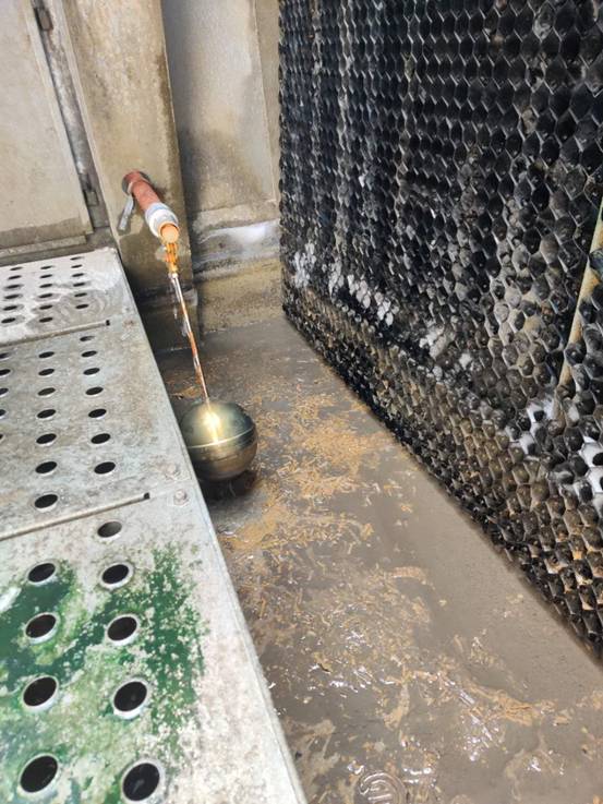 循環水殺菌處理 循環水殺菌處理