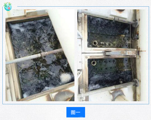 冷卻塔夏季藻類(lèi)滋生處理方法png 冷卻塔夏季藻類(lèi)滋生處理方法png