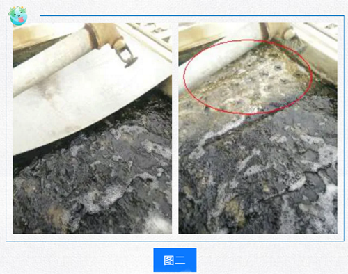 冷卻塔夏季藻類(lèi)滋生處理方法.png 冷卻塔夏季藻類(lèi)滋生處理方法.png
