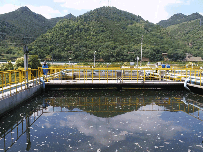 污水處理凈化 污水處理凈化