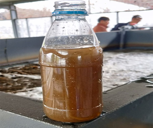 工業廢水達標率 工業廢水達標率