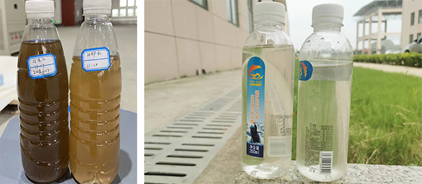 保養前后的水質對比 保養前后的水質對比