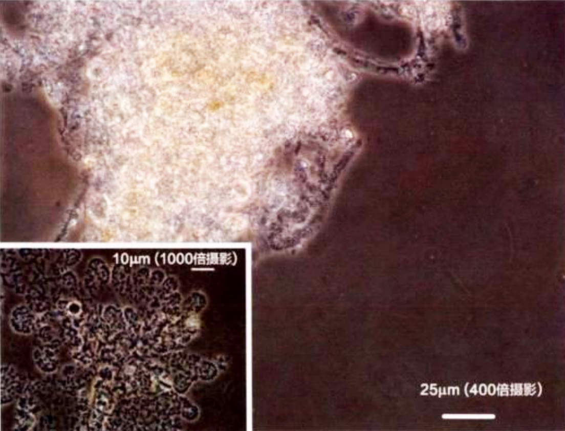 安峰環(huán)保.png 安峰環(huán)保.png