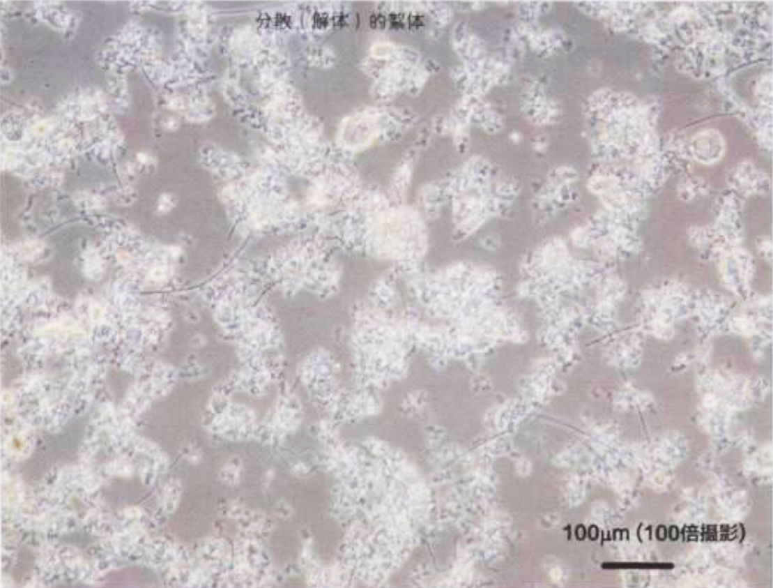 安峰環(huán)保.png 安峰環(huán)保.png