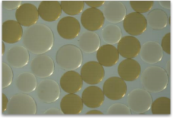 安峰環保.png 安峰環保.png