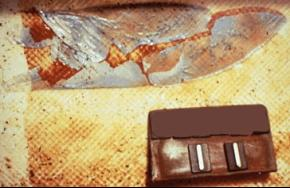 安峰環保.png 安峰環保.png